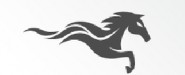 北京全網通文化傳媒有限公司